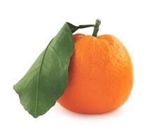 maturo succoso mandarino isolato su un' bianca sfondo. biologico mandarino con verde foglia. mandarino. foto