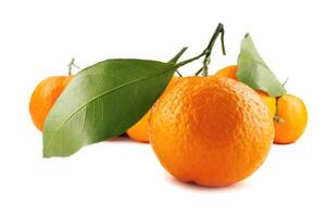 parecchi maturo mandarini isolato su un' bianca sfondo. biologico mandarino con verde foglia. mandarino. foto