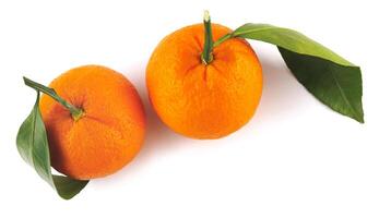 Due mandarini isolato su un' bianca sfondo. biologico mandarino con verde foglia. mandarino. foto