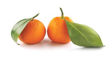 Due mandarini isolato su un' bianca sfondo. biologico mandarino con verde foglia. mandarino. foto