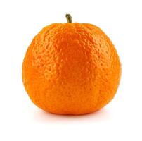 parecchi maturo mandarini isolato su un' bianca sfondo. biologico mandarino . mandarino. foto