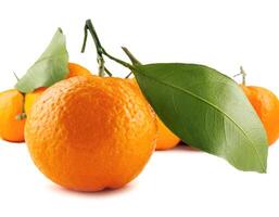 parecchi maturo mandarini su un' bianca sfondo. biologico mandarino con verde foglia. mandarino. foto