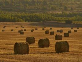 Balle di paglia in un campo di cereali al mattino presto, almansa, spagna foto