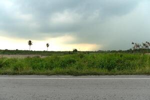 orizzontale Visualizza di asfalto strada Tailandia. ambiente prima piovoso volta. verde erba cresce densamente su il lato di il strada. Il prossimo per il agricolo terra. sotto cielo con buio nuvole. foto