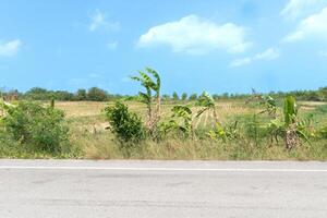 orizzontale Visualizza di vuoto asfalto strada nel Tailandia. sfondo di Banana alberi accanto strada. e registrazione di agricolo piantagioni circostante la zona . sotto blu cielo. foto