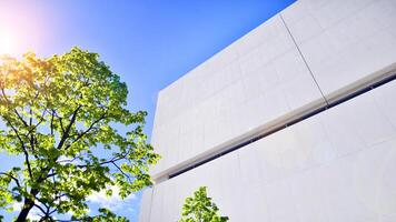 moderno bianca calcestruzzo edificio muri contro blu cielo. eco architettura. verde alberi e calcestruzzo ufficio costruzione. il armonia di natura e modernità. foto