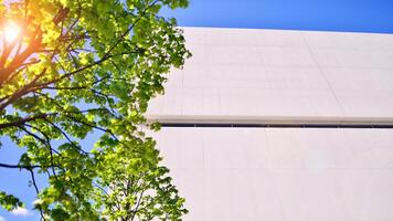 moderno bianca calcestruzzo edificio muri contro blu cielo. eco architettura. verde alberi e calcestruzzo ufficio costruzione. il armonia di natura e modernità. foto