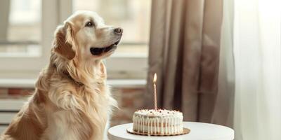 contento cane con torta è festeggiare compleanno, animale domestico amichevole concetto foto