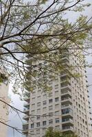 edifici e strutture nel tel aviv contro il sfondo di rami e le foglie di alto alberi. foto