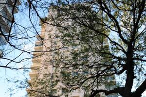 edifici e strutture nel tel aviv contro il sfondo di rami e le foglie di alto alberi. foto