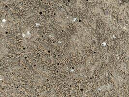 Marrone sabbioso suolo struttura su il spiaggia foto