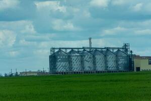 granaio ascensore, argento silos su agro produzione pianta per in lavorazione essiccazione pulizia e Conservazione di agricolo prodotti, Farina, cereali e grano. un' campo di verde Grano. foto