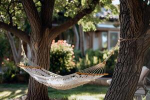 donna rilassante nel un' amaca Strung fra Due palma alberi, un' libro nel sua mano foto