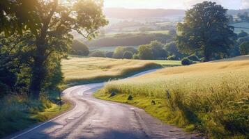 strada viaggio attraverso nazione strade, circondato di i campi di baciato dal sole colture nel il altezza di estate foto