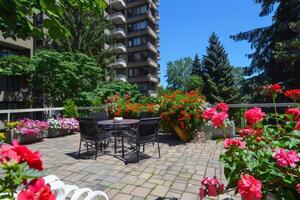 tetto giardino oasi nel il cuore di il città, fioritura con vivace fiori e verdeggiante fogliame foto