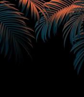 moderno bellissimo modello di foglie di palma isolato su sfondo nero per la progettazione di poster o opuscoli. illustrazione 3D