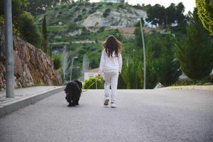 posteriore Visualizza di adorabile poco ragazzo ragazza nel bianca abbigliamento sportivo, divertendosi un' a piedi con sua cane su guinzaglio su il natura all'aperto, contro tramonto raggi di sole sfondo. le persone, giocando animali domestici e natura concetto foto