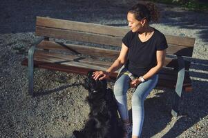 alto Visualizza di un' giovane contento donna seduta su un' panchina nel il montagne, accarezzando sua cane, sorridente godendo un' contento tempo con sua animale domestico nel il natura. giocando animali domestici, persone e animali concetto foto