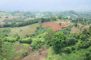 aereo Visualizza paesaggio di piantagione la zona e verde alberi su complicato collina nel nan Provincia, settentrionale di Tailandia. foto