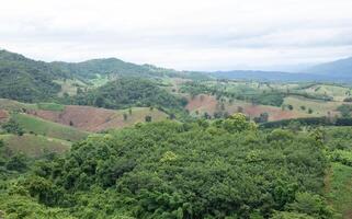 aereo Visualizza paesaggio di piantagione la zona e verde alberi su complicato collina nel nan Provincia, settentrionale di Tailandia. foto