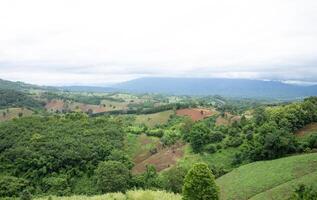 aereo Visualizza paesaggio di piantagione la zona e verde alberi su complicato collina nel nan Provincia, settentrionale di Tailandia. foto