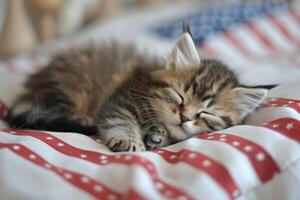 poco soffice gattino dorme pacificamente su il tela di il americano Stati Uniti d'America bandiera, patriottico carta con animali, noi indipendenza giorno 4 ° di luglio foto