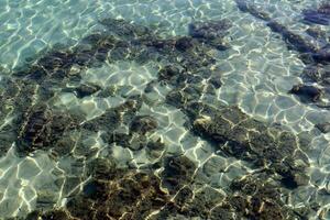 il colore di acqua nel il mediterraneo mare nel superficiale acqua. naturale astratto sfondo. foto