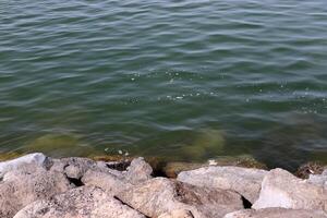 lago kinneret. il del lago costa è il più basso massa continentale su terra foto