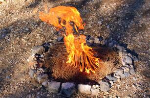 un' fuoco quello ustioni qualunque cosa quello ustioni. foto