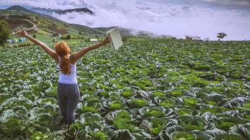 la donna sta leggendo su una rapa da giardino. atmosfera mattutina le montagne sono nebbiose. phetchabun phutubberg thailandia foto