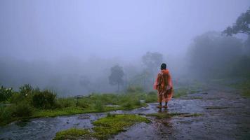 turista con impermeabile a piedi viaggio avventura natura nella foresta pluviale al parco nazionale di phu hin rong kla. viaggiare nella natura, viaggiare rilassati, viaggiare in thailandia, stagione delle piogge. foto