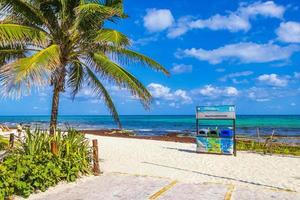 playa del carmen messico 28. maggio 2021 palma tropicale con cielo blu playa del carmen messico. foto