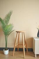 di legno sgabello e in vaso pianta complemento camere interno design foto
