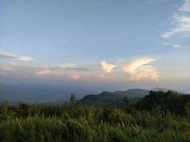 natura collinare con la luce del mattino foto