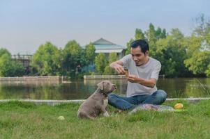 l'addestratore di cani sta addestrando un cucciolo di cane bullo foto