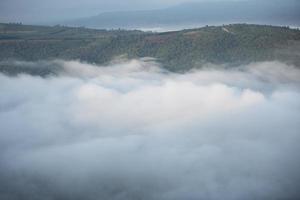 nebbia mattutina nebbiosa nella valle bellissima in thailandia asiatico - paesaggio nebbioso nebbia di montagna e vista sull'albero forestale in cima