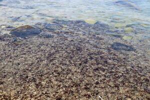 il colore di acqua nel il mediterraneo mare nel superficiale acqua. naturale astratto sfondo. foto