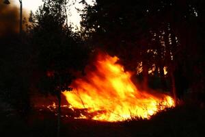 un' fuoco quello ustioni qualunque cosa quello ustioni. foto