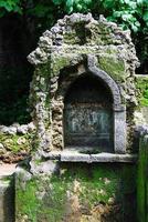 rovine di gedi, kenya foto