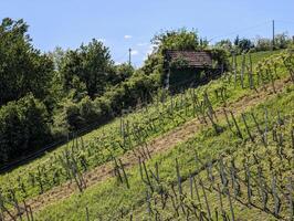 bellissimo verde paesaggio, vigneti e case a clenice, Croazia, hrvatsko zagorje, agricolo campagna foto