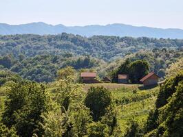 bellissimo verde paesaggio, vigneti e case a clenice, Croazia, hrvatsko zagorje, agricolo campagna foto