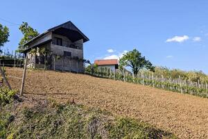 bellissimo verde paesaggio, vigneti e case a clenice, Croazia, hrvatsko zagorje, agricolo campagna foto