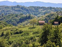 bellissimo verde paesaggio, vigneti e case a clenice, Croazia, hrvatsko zagorje, agricolo campagna foto