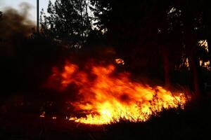 un' fuoco quello ustioni qualunque cosa quello ustioni. foto