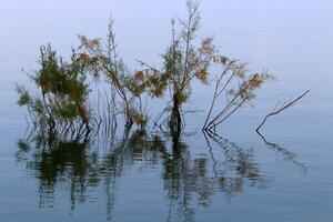 lago kinneret. il del lago costa è il più basso massa continentale su terra foto