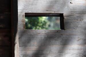 struttura del legno e dei prodotti in legno. foto