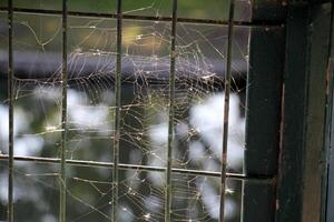 recinzione in un parco cittadino in Israele. foto