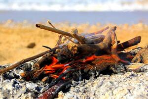 un' fuoco quello ustioni qualunque cosa quello ustioni. foto