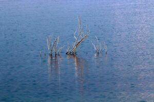 lago kinneret. il del lago costa è il più basso massa continentale su terra foto