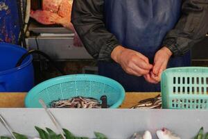 pulizia pesce per ulteriore cucinando foto